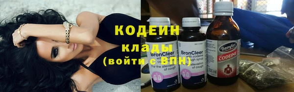 шишки Баксан