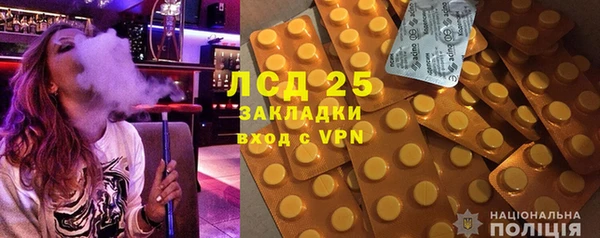 шишки Баксан