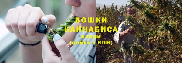 шишки Баксан